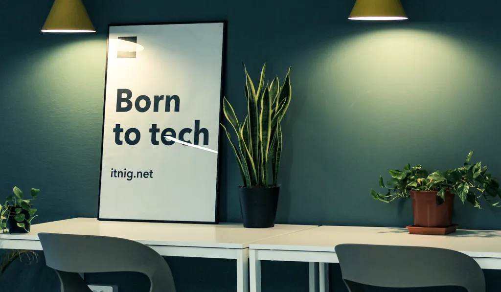 Startups
